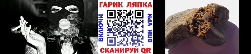 ГАШ Premium Грайворон