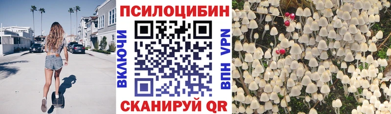 Галлюциногенные грибы мицелий  магазин продажи наркотиков  Грайворон 